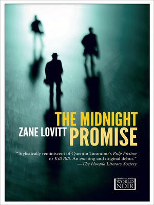 cover image of The Midnight Promise